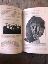 Load image into Gallery viewer, Geology Applied to Mining: A First Book of General Geology and Metallology by Josiah Edward Spurr
